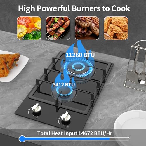 VBGK 2 Burner Gas Cooktop 12 Inch Stainless Steel Propane Stove Top for RV, Camper & Home Kitchen