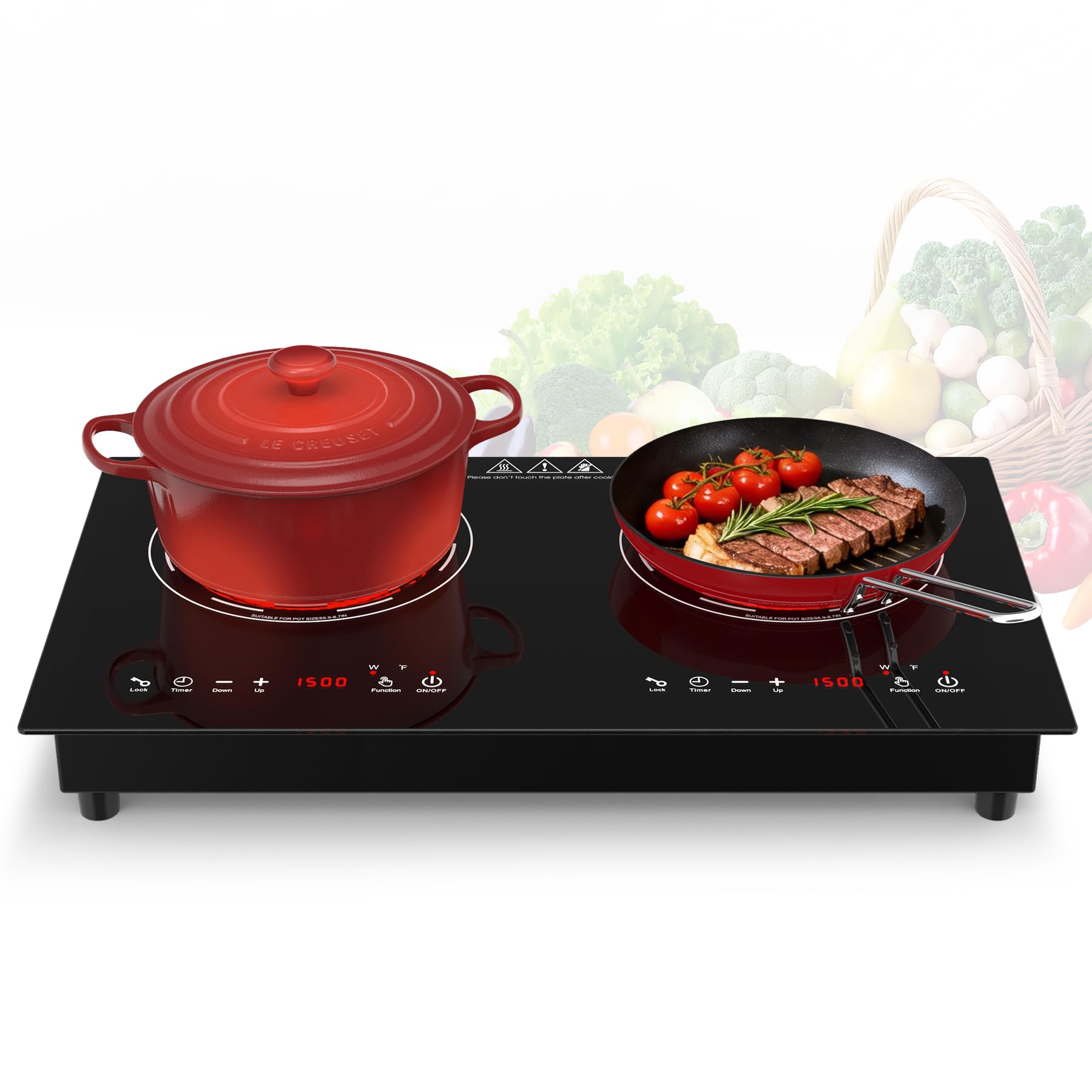 VBGK 24 Inch Electric Cooktop 110V 3000W 2 Burner Stove Top with Dual Heating Zones for Home Kitchen